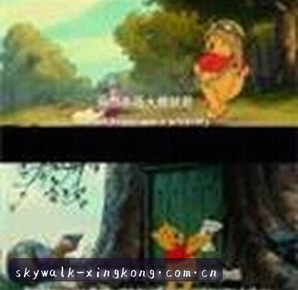 张磊